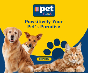 Paws and Playtime- The Benefits of Interactive Toys for Dogs