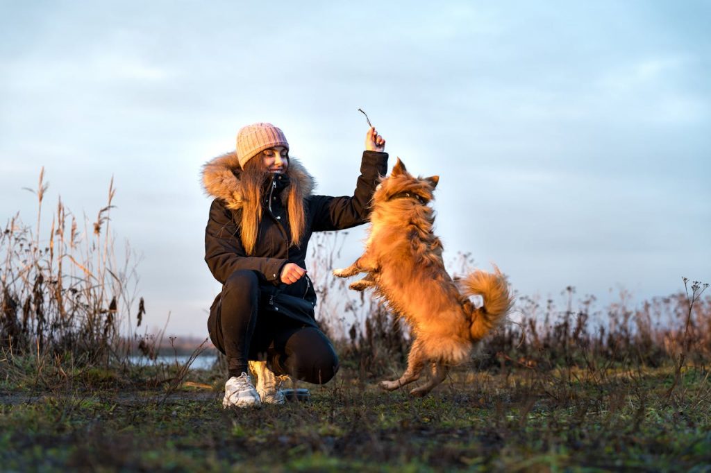 How to Make Your Housesit Feel Like a Mini-Retreat